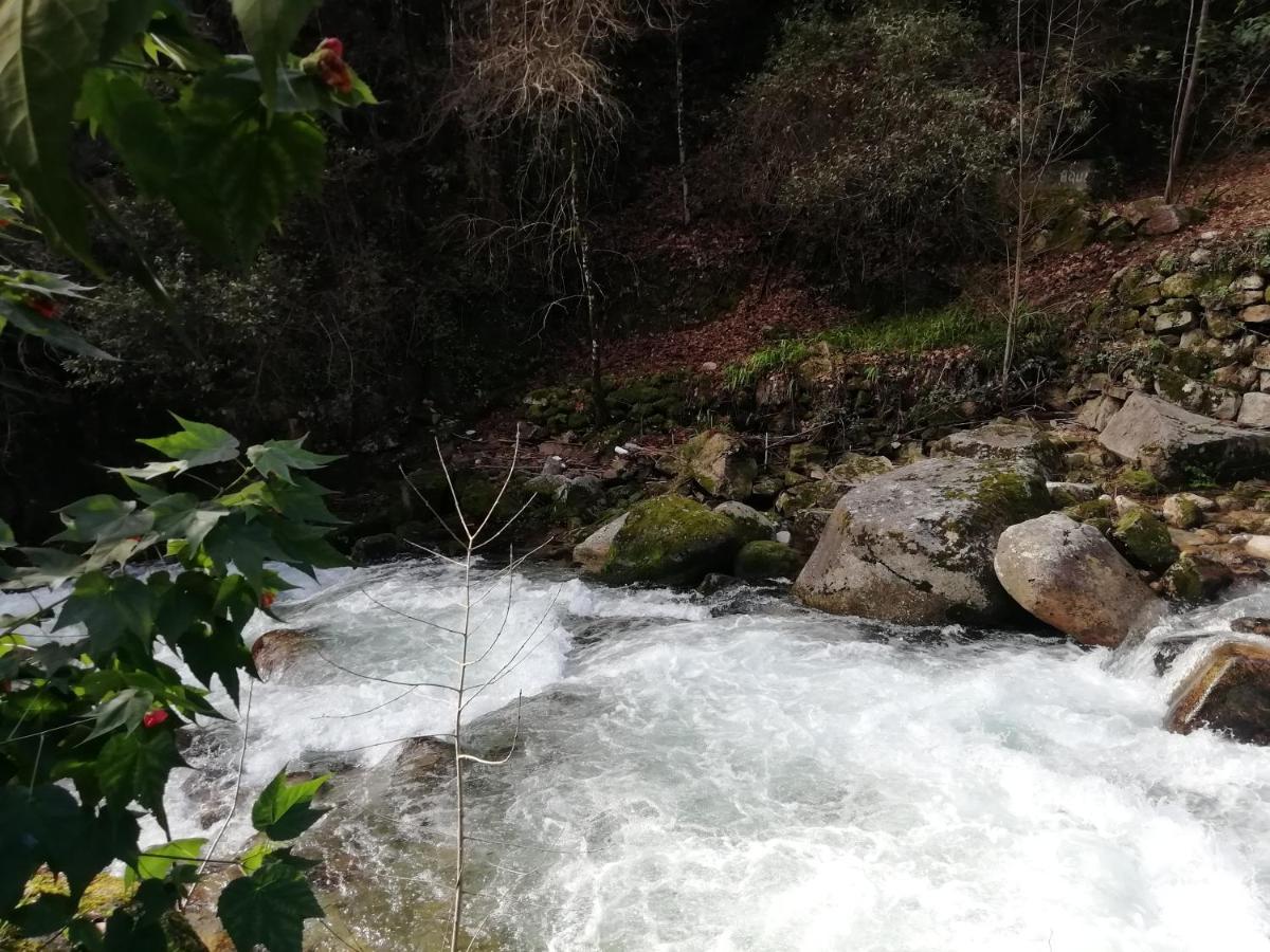 Campismo Rural Vale Dos Moinhos Geres 호텔 외부 사진