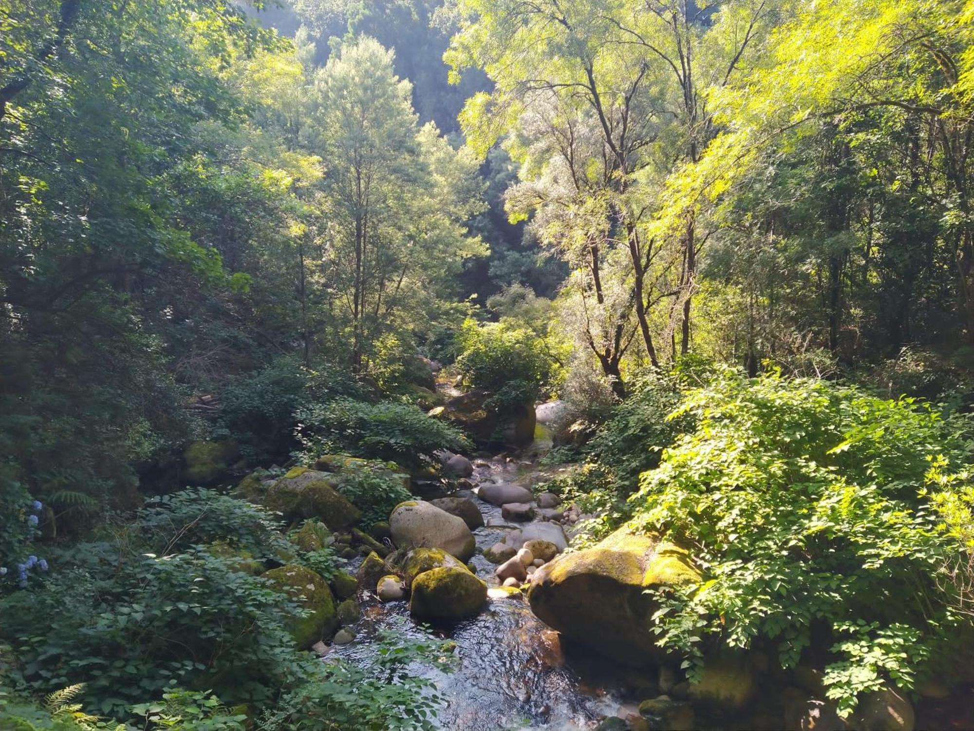 Campismo Rural Vale Dos Moinhos Geres 호텔 외부 사진