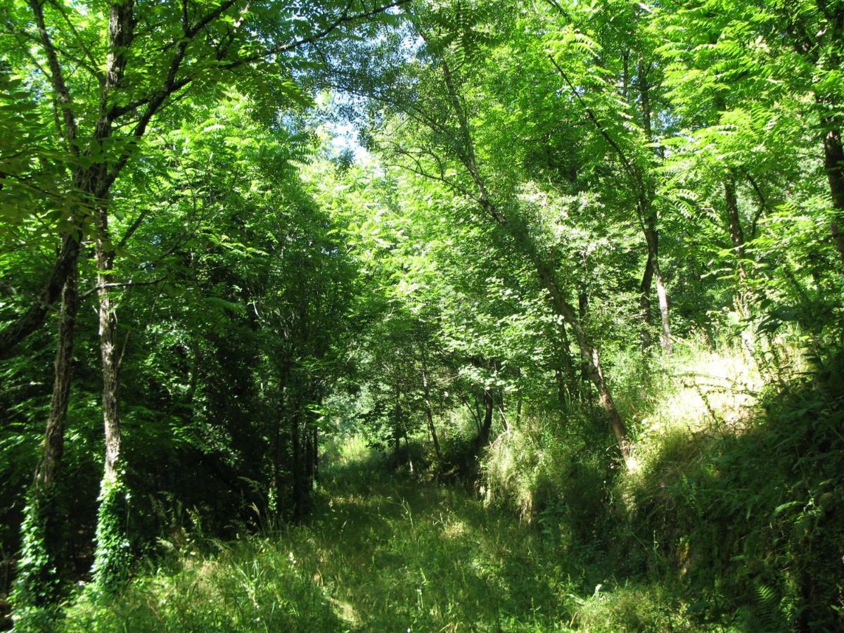 Campismo Rural Vale Dos Moinhos Geres 호텔 외부 사진