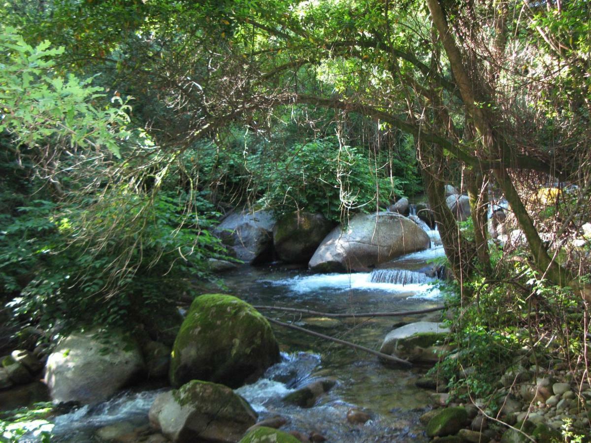 Campismo Rural Vale Dos Moinhos Geres 호텔 외부 사진